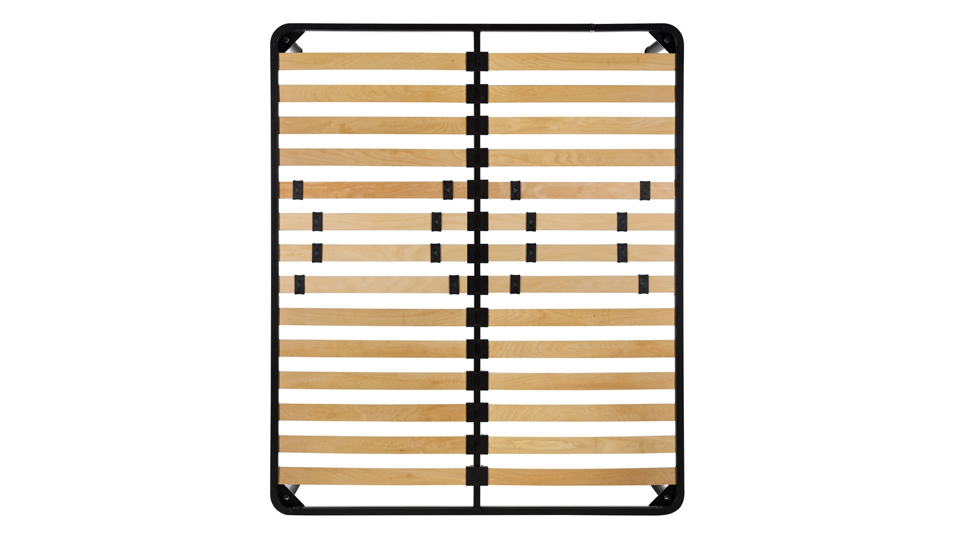 Zen 3 Zen - immagine 3